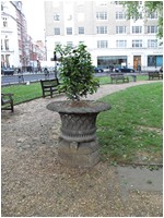 Free London Events - Talk the Walk London - Berkeley Square