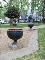Free London Events - Talk the Walk London - Berkeley Square