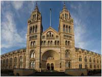 Free London Events - Talk the Walk London - The Natural History Museum